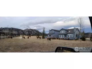 Photo #2: 955830 Listing