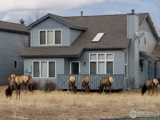 Photo #4: 955830 Listing