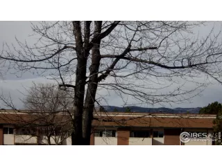 Photo #1: 956751 Listing