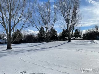 Photo #1: 957365 Listing