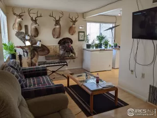 Photo #5: 962017 Listing