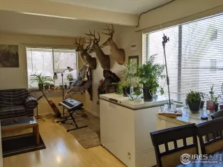 Photo #6: 962017 Listing