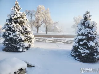 Photo #4: 962157 Listing 