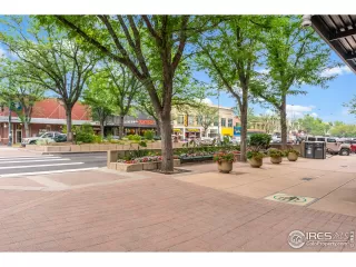 Photo #1: 963771 Listing