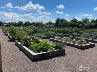 Photo #2: 964329 Listing