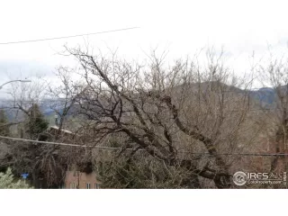 Photo #3: 964679 Listing