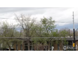 Photo #4: 964679 Listing