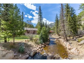 Photo #3: 965538 Listing