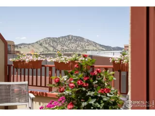 Photo #4: 969394 Listing