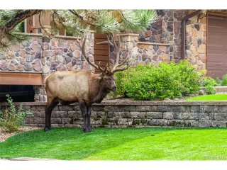 Photo #3: 9702709 Listing 