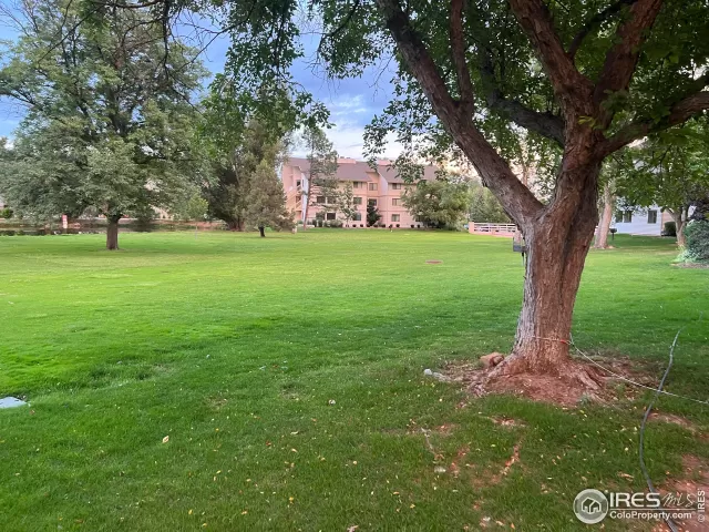 MLS: 973021 Condo For Sale