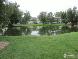 Photo #2: 975167 Listing