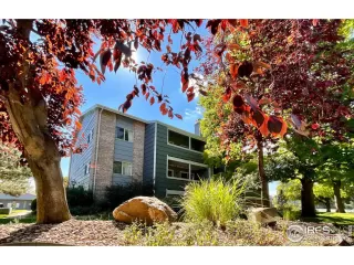 Photo #1: 976706 Listing