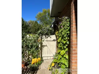 Photo #1: 977165 Listing 