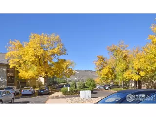 Photo #4: 977256 Listing