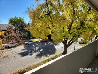 Photo #5: 977393 Listing