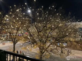 Photo #3: 977484 Listing