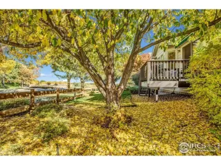 Photo #1: 977608 Listing 