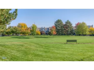 Photo #4: 9784522 Listing