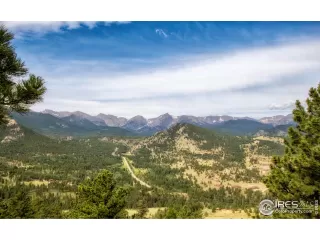 Photo #2: 978755 Listing