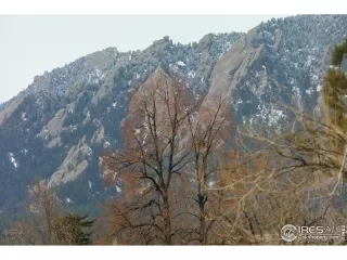 Photo #5: 979798 Listing