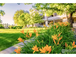 Photo #1: 980351 Listing