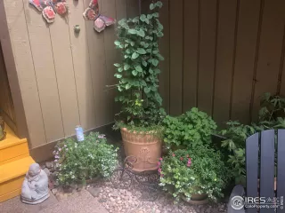 Photo #2: 980756 Listing