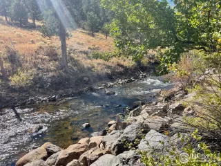 Photo #2: 981341 Listing