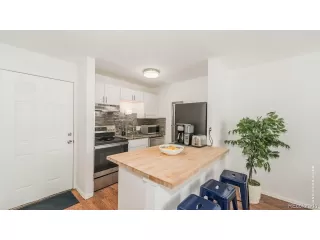 Photo #6: 9816053 Listing