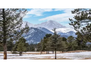 Photo #3: 981676 Listing