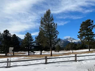 Photo #4: 981676 Listing