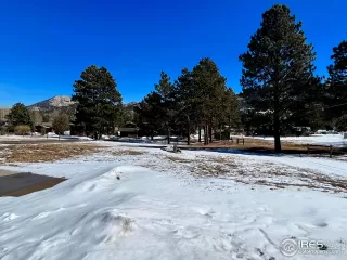 Photo #5: 982617 Listing