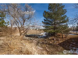 Photo #1: 982741 Listing 