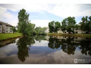 Photo #1: 983512 Listing