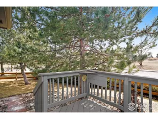 Photo #5: 983638 Listing