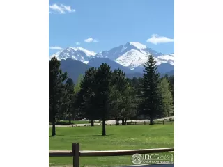 Photo #5: 983922 Listing