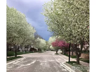 Photo #1: 984212 Listing 