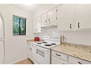 Photo #5: 9848701 Listing