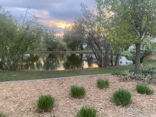 Photo #1: 987693 Listing