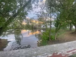 Photo #2: 987693 Listing