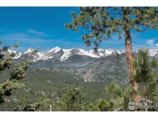 Photo #5: 988673 Listing