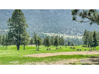 Photo #3: 988868 Listing