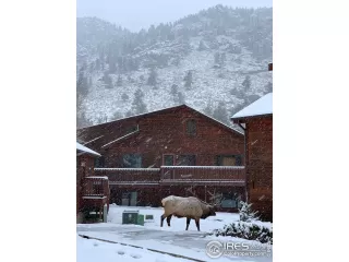 Photo #1: 990200 Listing 