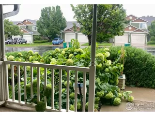 Photo #1: 995149 Listing