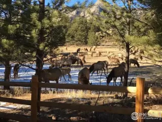 Photo #5: 995469 Listing 