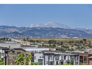 Photo #5: 9972692 Listing