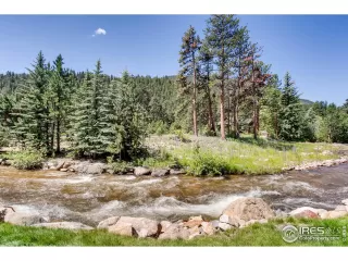 Photo #5: 997753 Listing