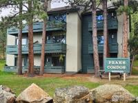 More Details about MLS # 1036161 : 200 RIVERSIDE DR HALLETT-1 ESTES PARK CO 80517
