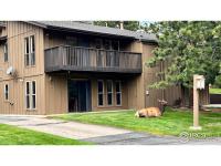 More Details about MLS # 1036827 : 1141 FAIRWAY CLUB CIR #C3 ESTES PARK CO 80517