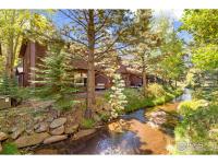 More Details about MLS # 976145 : 640 MACGREGOR AVE 15 ESTES PARK CO 80517